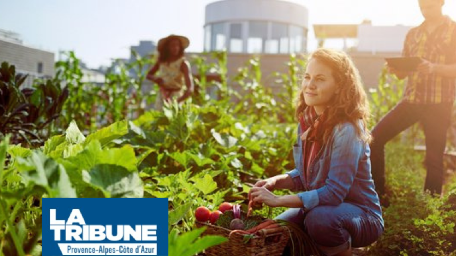 LES PROJETS D’ABRICOTOIT POUR DÉVELOPPER L’AGRICULTURE URBAINE