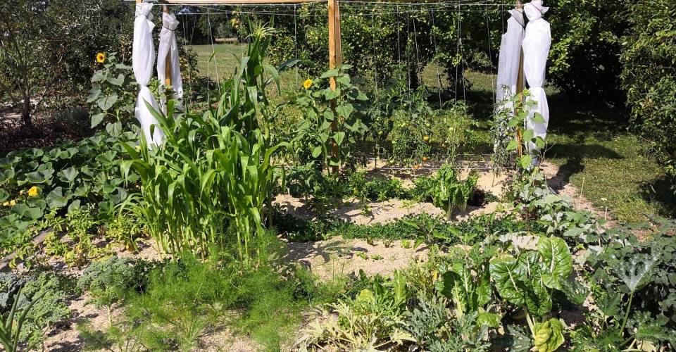 Accompagnement et développement d'entreprise à Marseille QUADRA TERRA à Marseille